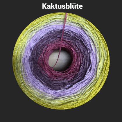 Kaktusblüte